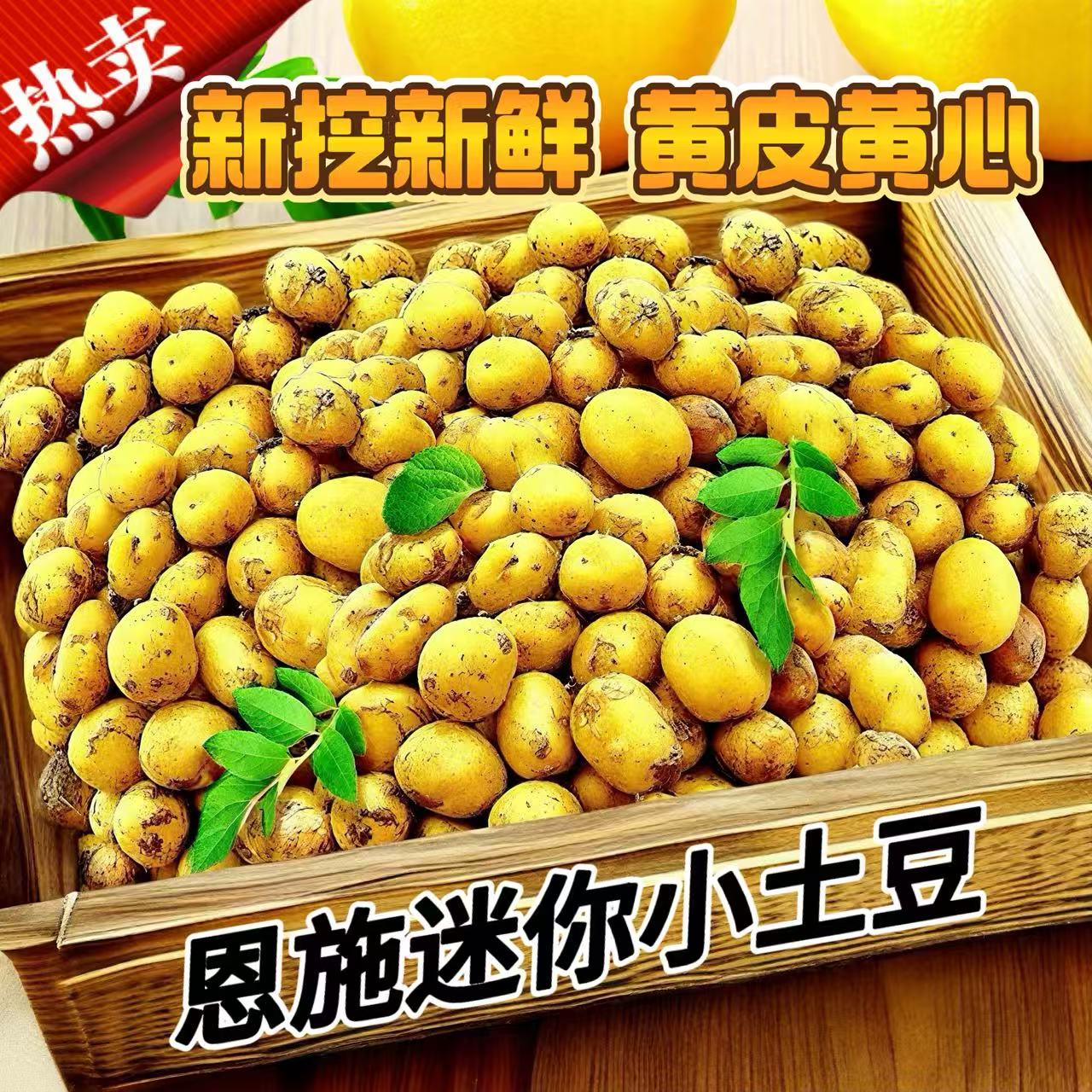 2026新挖新鲜恩施迷你小土豆高山黄心小土豆农家自种马铃薯大洋芋