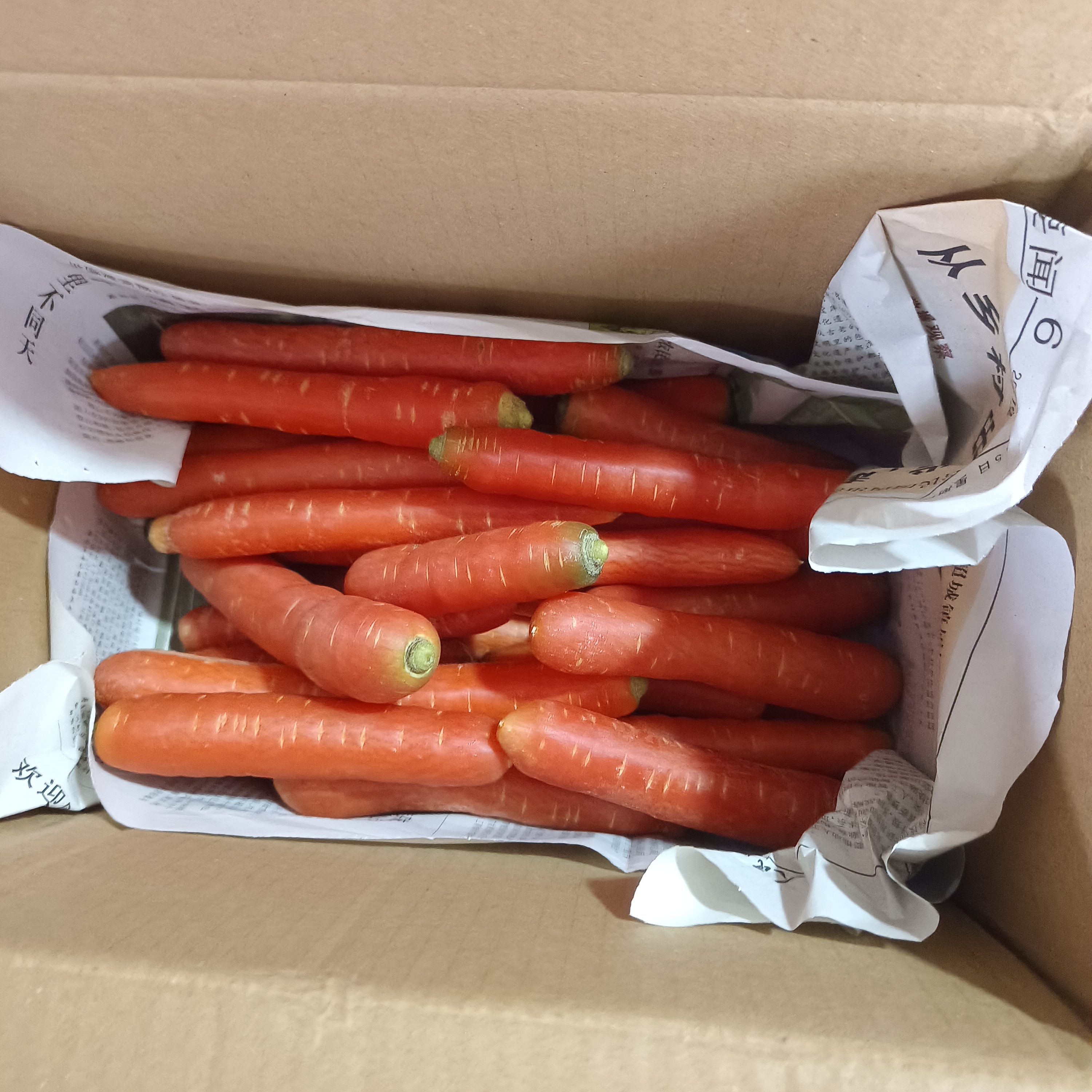 四川老品种红萝卜脆甜可口多汁清甜当季蔬菜胡萝卜红色新鲜