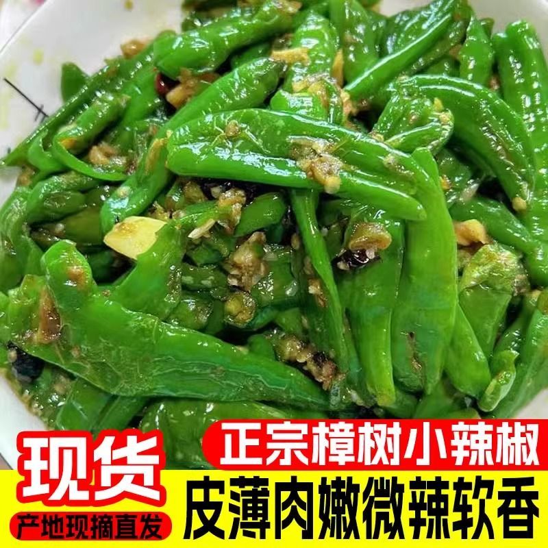 】湖南樟树镇辣椒农家自种薄皮辣椒新鲜香辣美味可口新鲜包邮