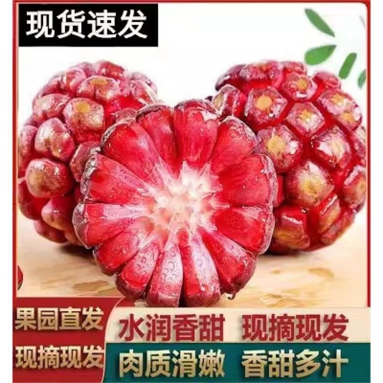 正宗云南黑老虎新鲜水果布福娜果大血藤果稀有水果新鲜现发