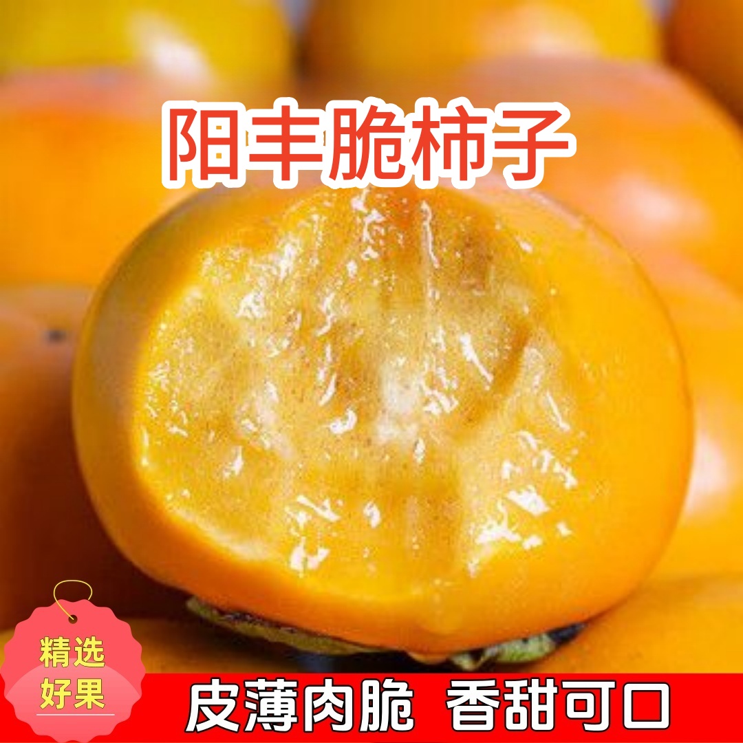 【放至颜色变黄食用】正宗山西阳丰脆柿巧克力脆柿脆甜可口新鲜当季