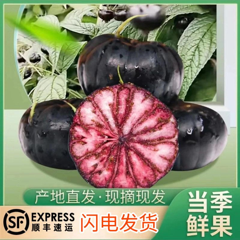 正宗云南高山红果参新鲜现摘当季稀有水果蜘蛛果算盘果顺丰速发