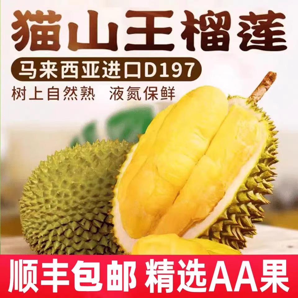 AA果保5房马来西亚树熟猫山王D197整果榴莲液氮冷冻2.5-20斤