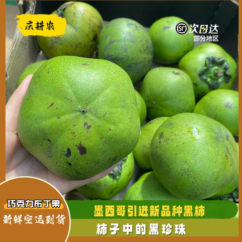 新培育品墨西哥巧克力黑柿布丁果新鲜现摘巧克力果黑柿果