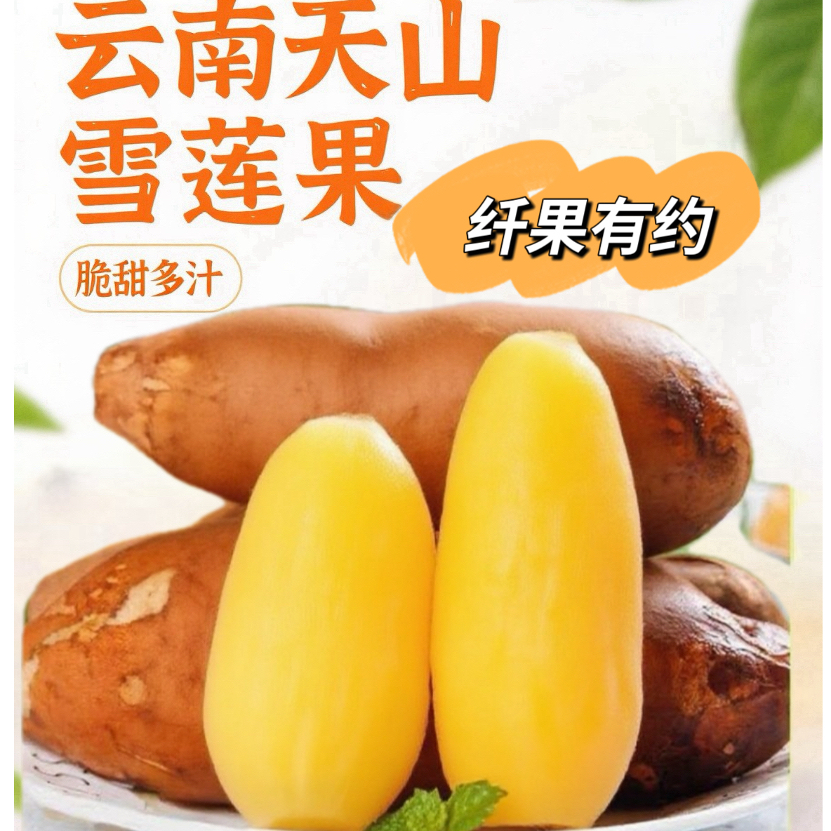 【送削皮刀】正宗云南天山雪莲果低糖清甜新鲜现挖现发