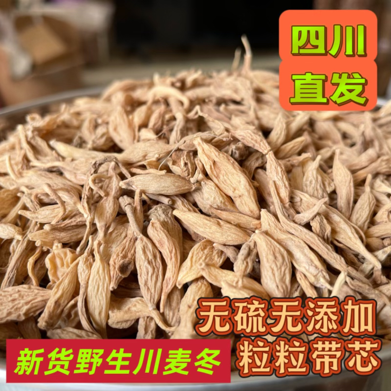 四川纯野生药材麦冬新货、自挖自卖自然生长周期2年川麦冬无硫