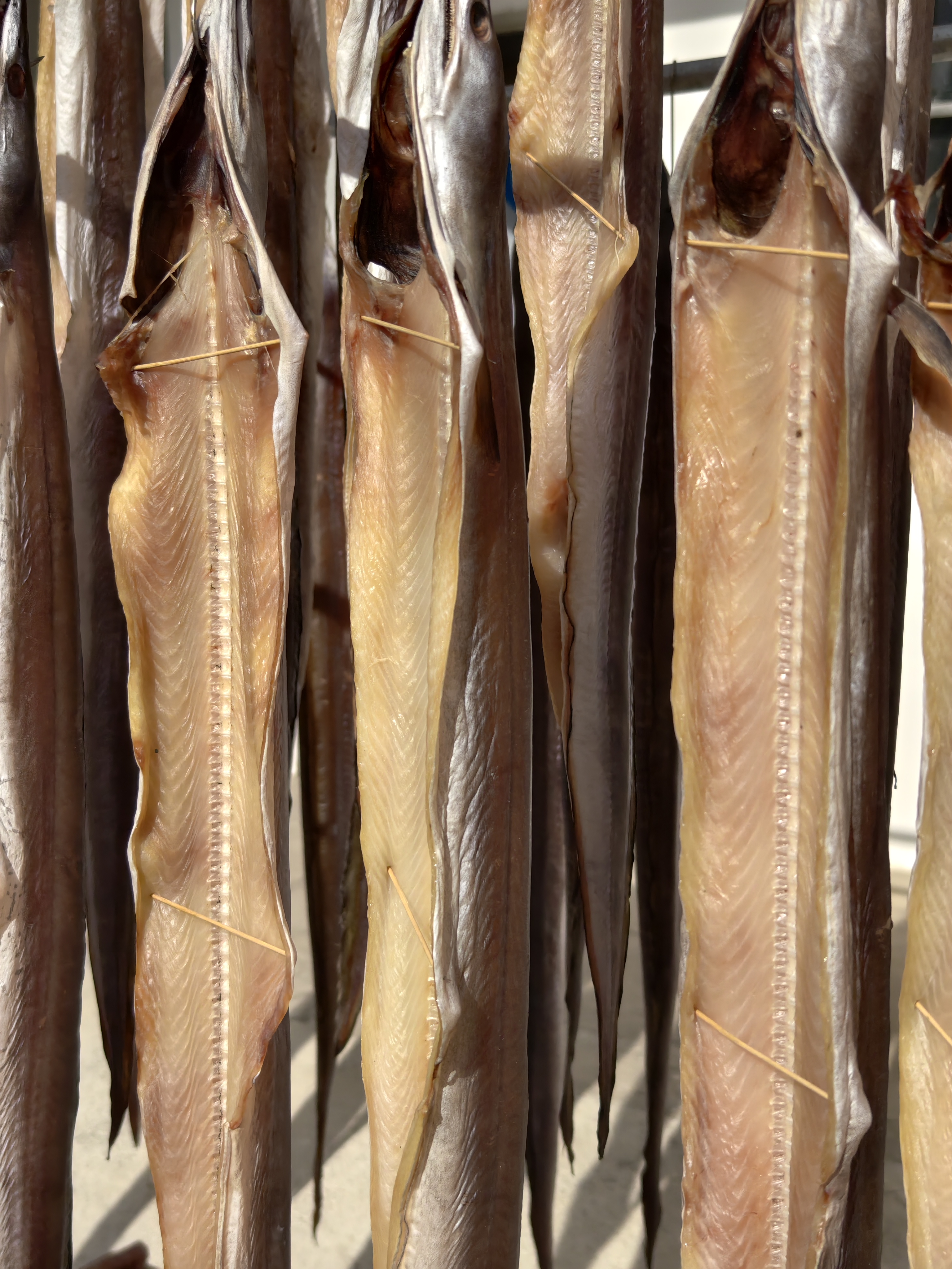 【鲜锋严选】舟山本地风鳗鱼筒自然晾晒鱼干1.5-2斤/条