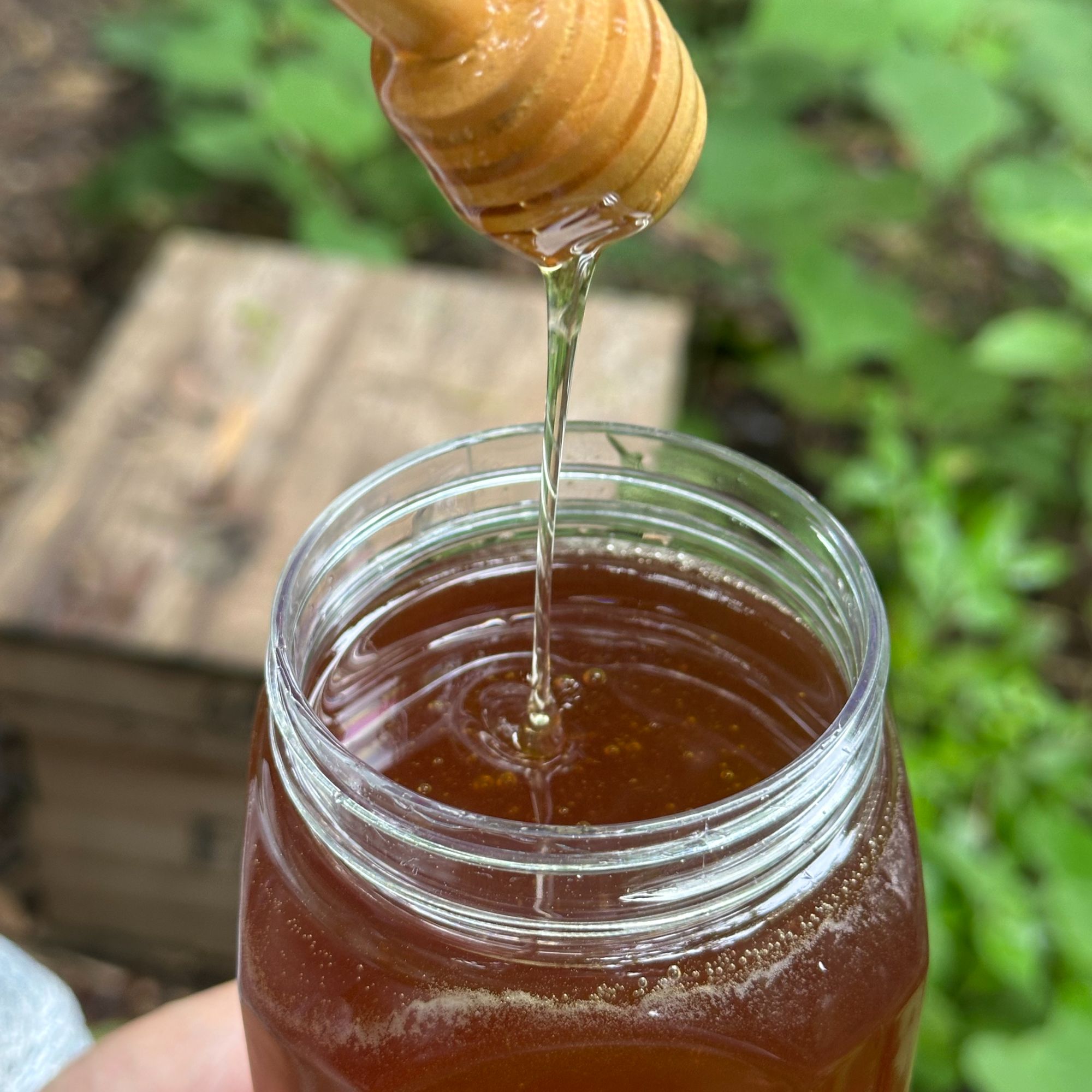 新鲜当季百花蜂蜜口感好原汁原味农家深山天然好蜜