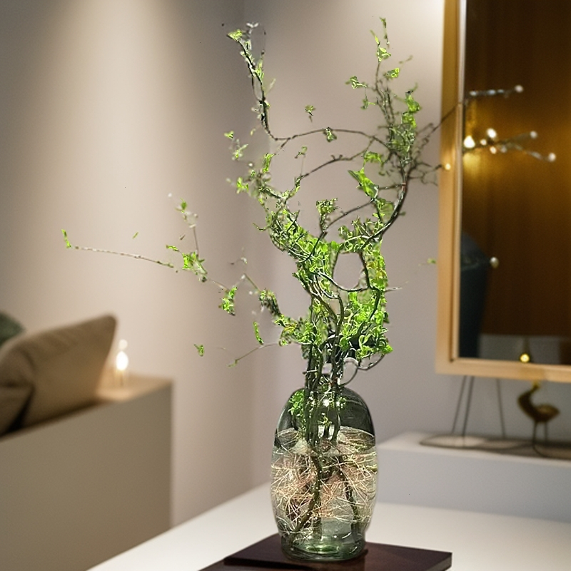 精品绿植水培鲜枝龙柳花瓶室内客厅落地易活四季高端阳台植物装饰