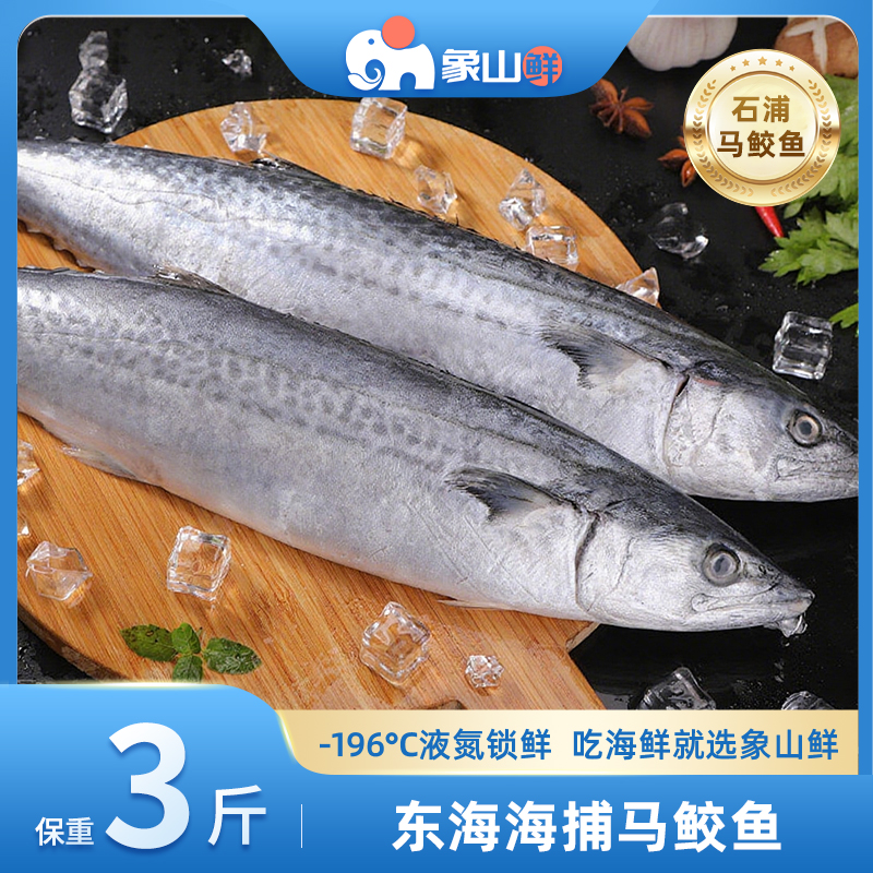 象山鲜东海海捕马鲛鱼液氮锁鲜石浦码头直发海鲜水产3斤鲅鱼
