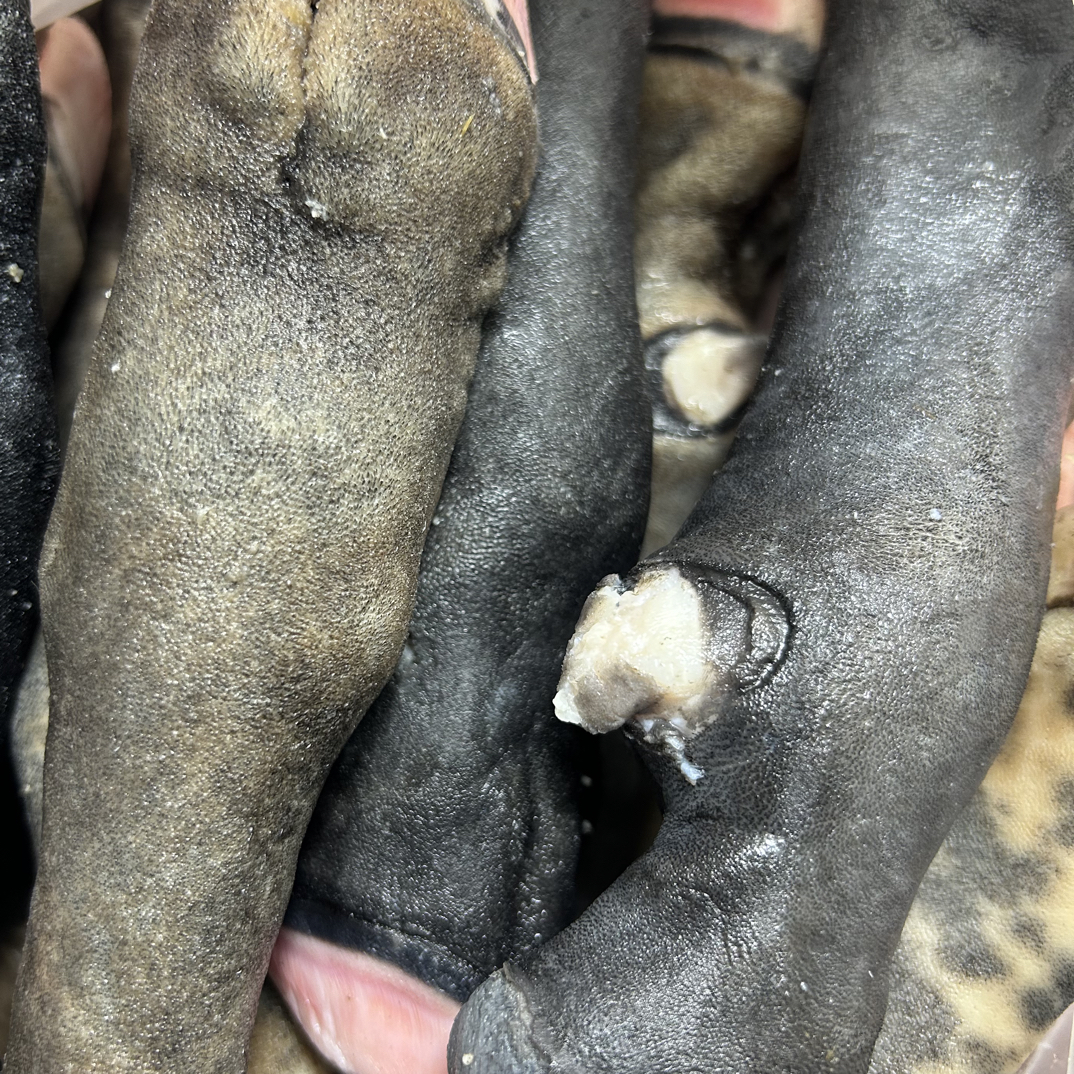 国产清真黑羊蹄（十斤）