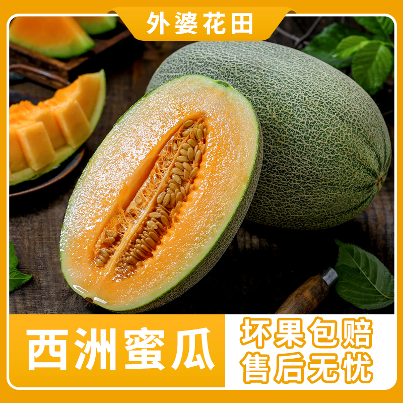 【外婆花田】海南西洲蜜瓜晓蜜25号5-6斤源头直采自然成熟
