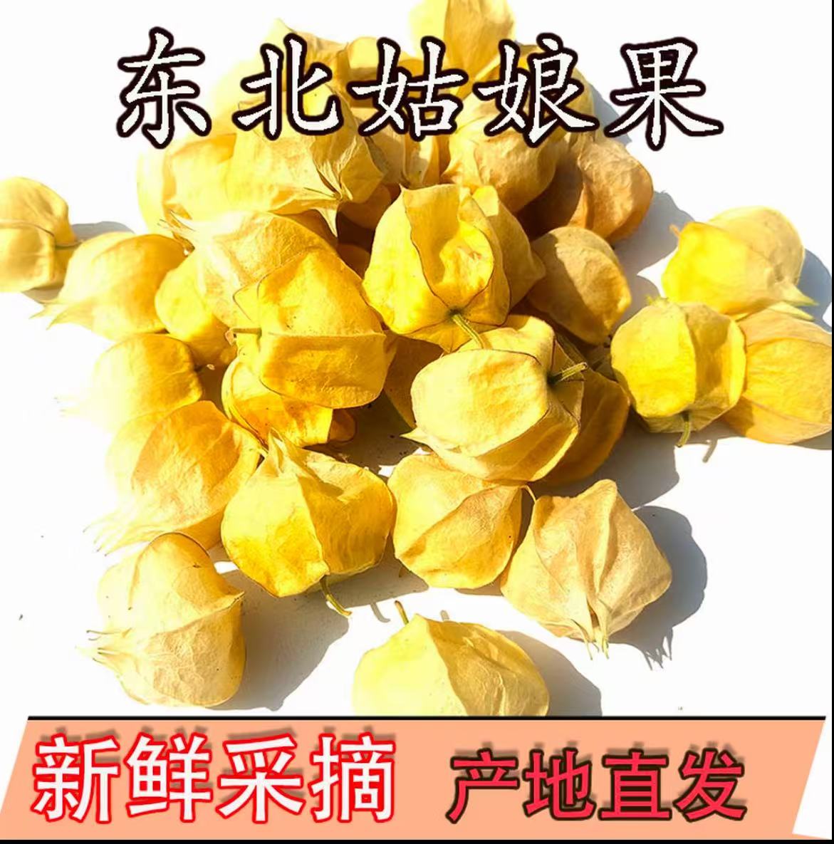 东北新鲜水果菇娘果现货菇娘果灯笼果新鲜大果黄菇娘果洋菇娘应季