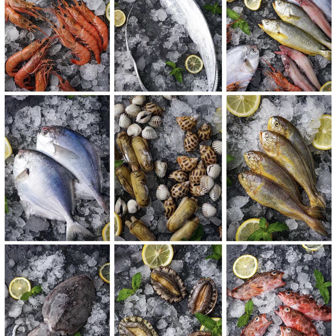 杂鱼组合链接 2条红木连，2条红杉，3-4条泥猛，1条金昌，红抓虾1斤