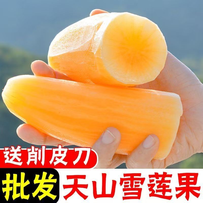 云南天山雪莲果清甜脆爽多汁黄心新鲜应季水果现挖产地包邮