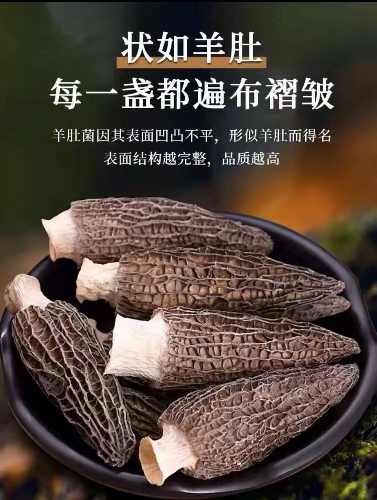 四川兵哥家头茬羊肚菌