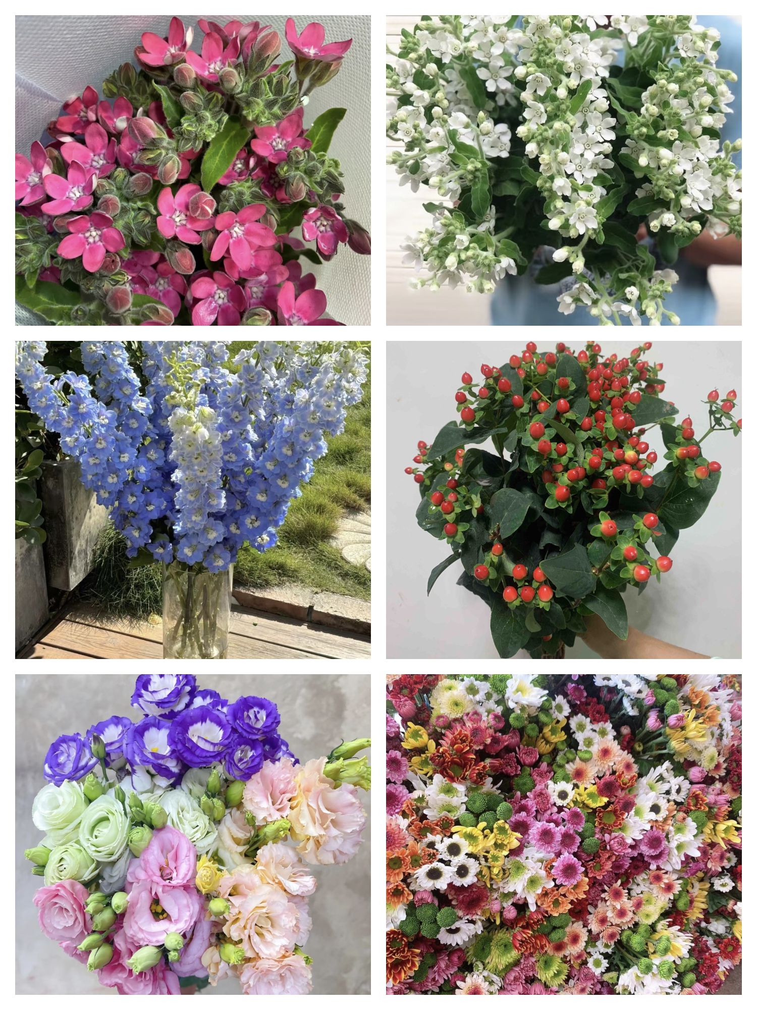 鲜花 真爱粉1件套 宠粉系列不售后不支持已发货退款