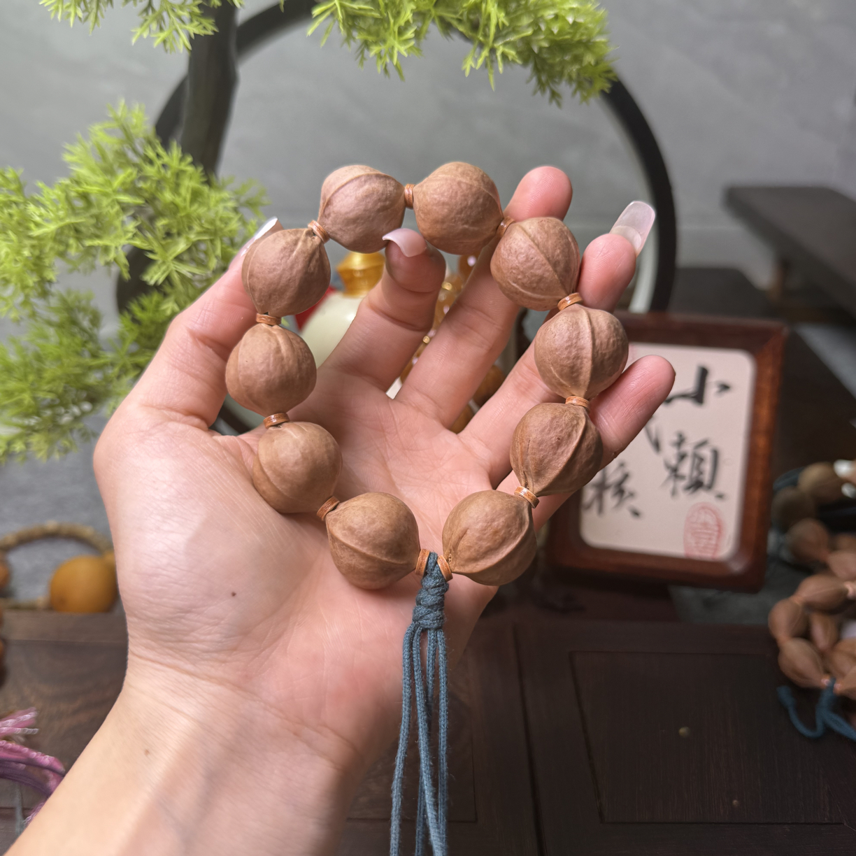 梅林铁核原生态三花215*24一物一图