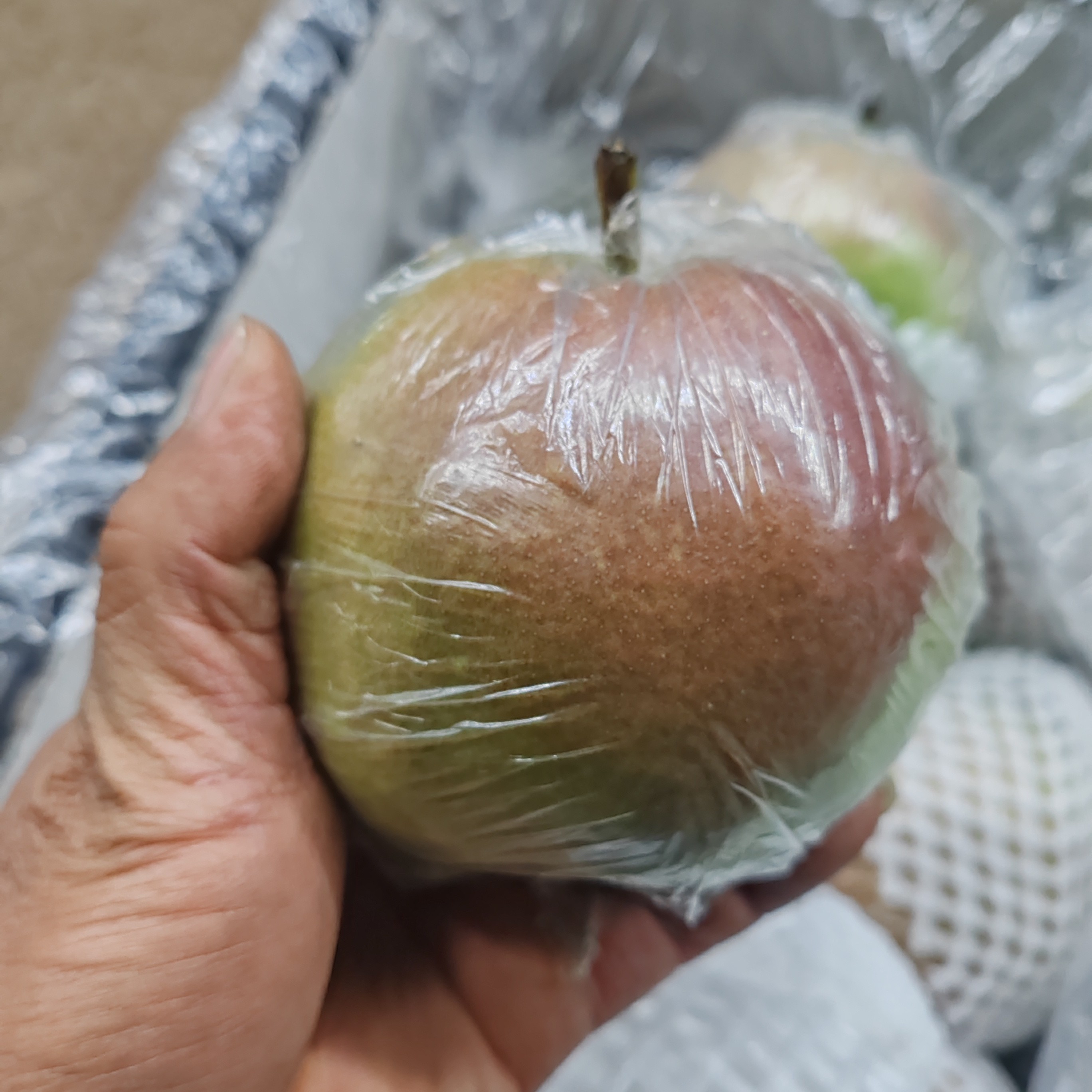 山西正宗玉露香梨大果（万荣聚宝梨果库）直发