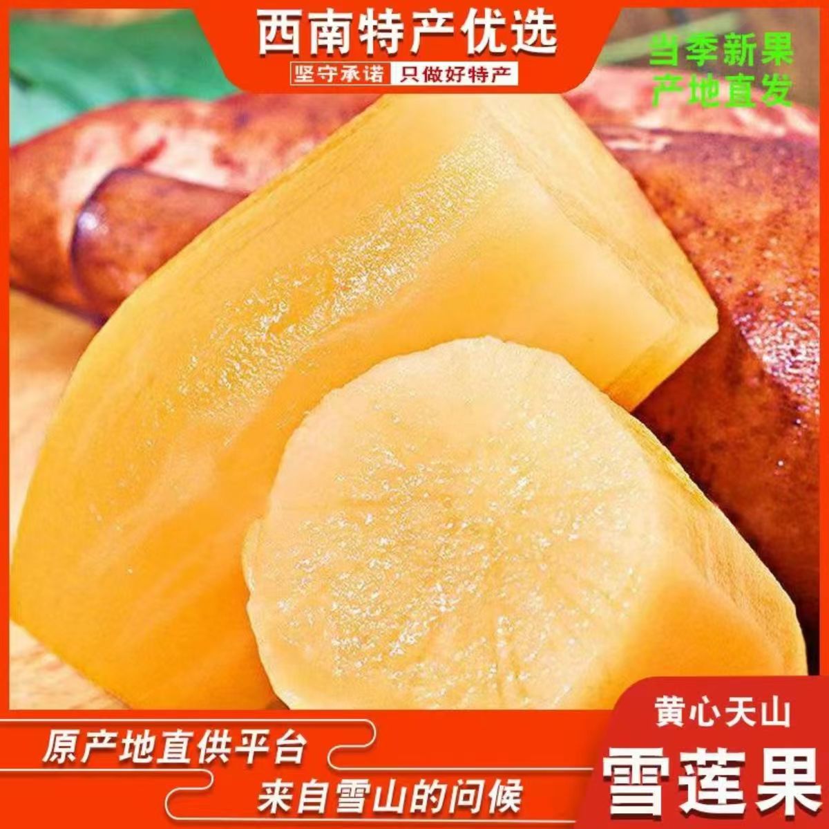 【头茬黄金雪莲果】正宗云南天山黄金雪莲果新鲜营养丰富多汁