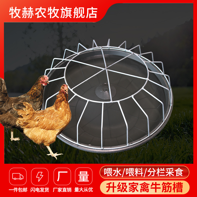 喂鸡食槽鸡鸭鹅仔猪教料槽小猪采食槽料槽猪保育料槽猪槽喂食鸡槽
