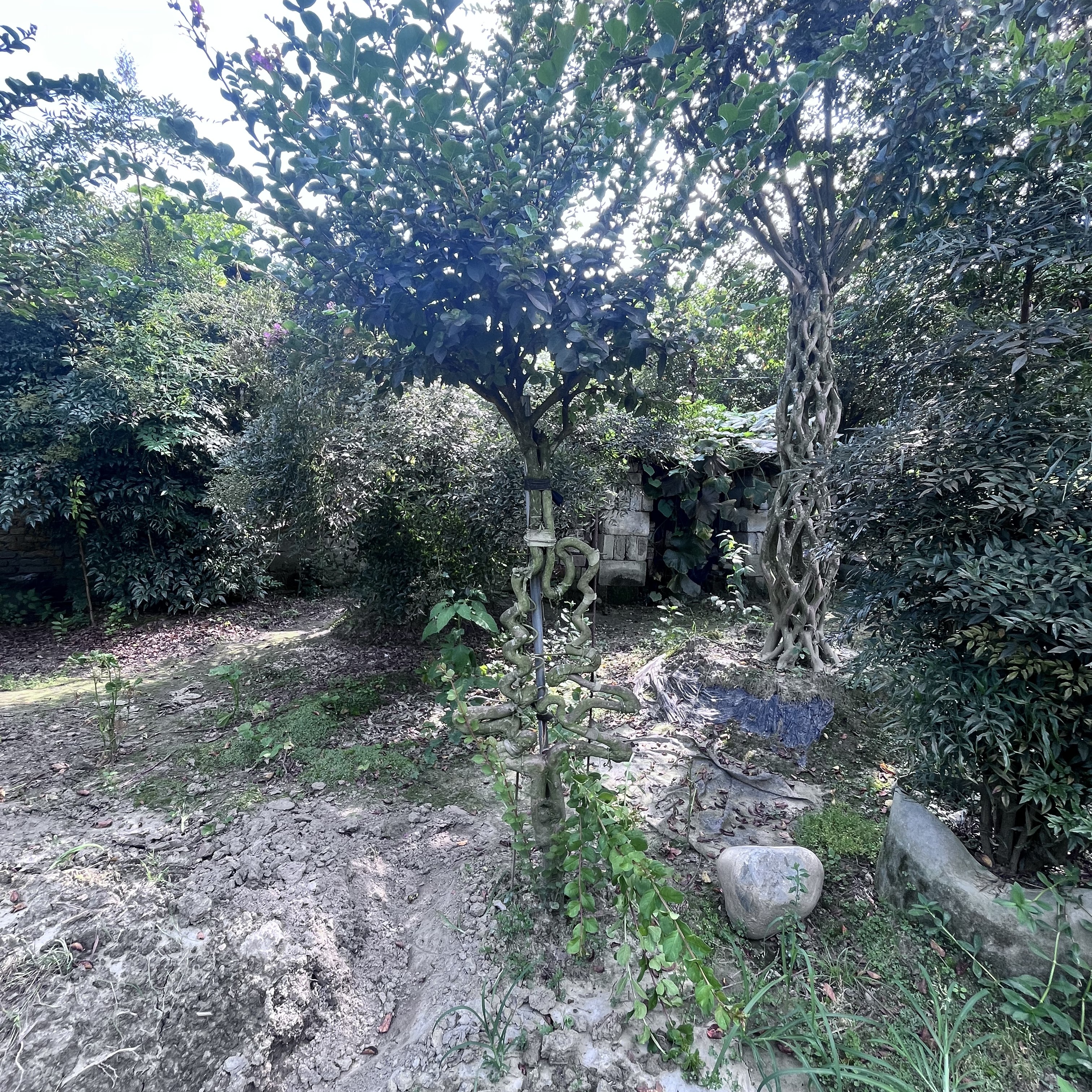 姜/紫薇百家姓/姜总/姜老板/姜家/姜府/老姜/姜美女/姜先生