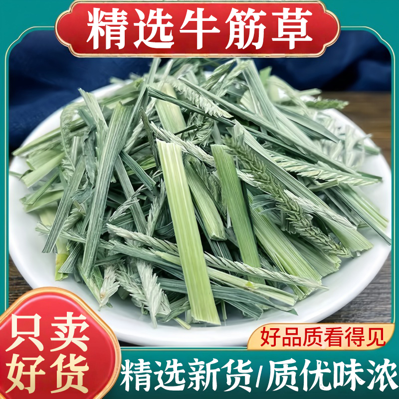 牛筋草正品新鲜蟋蟀草牛津草可搭路路通泡水泡茶牛耕草鸭脚草干货