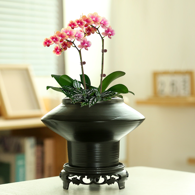 家用陶瓷花盆创意飞碟精美居家装饰品简约绿植花器蝴蝶兰透气花盆