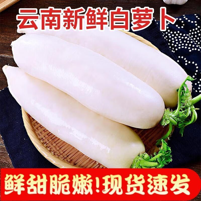 【特价抢9斤】云南高山新鲜白萝卜农家脆甜蔬菜泡菜腌菜带泥现挖