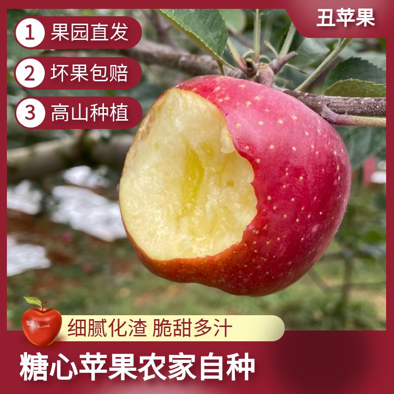 【正宗】云南昭通冰糖心丑苹果新鲜应季脆甜多汁生态水果