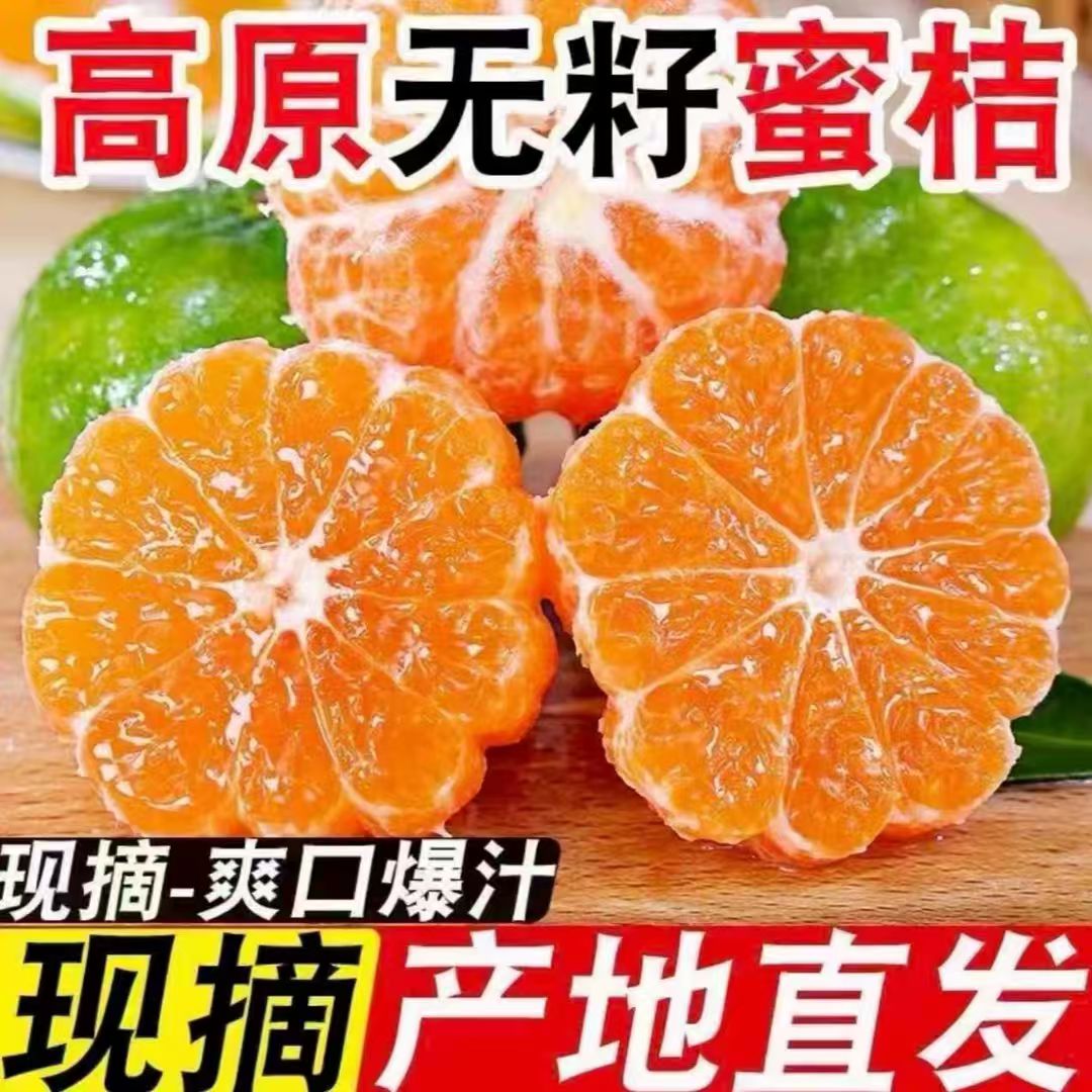 高山青皮蜜橘新鲜当季水果酸甜多汁薄皮无籽孕妇水果
