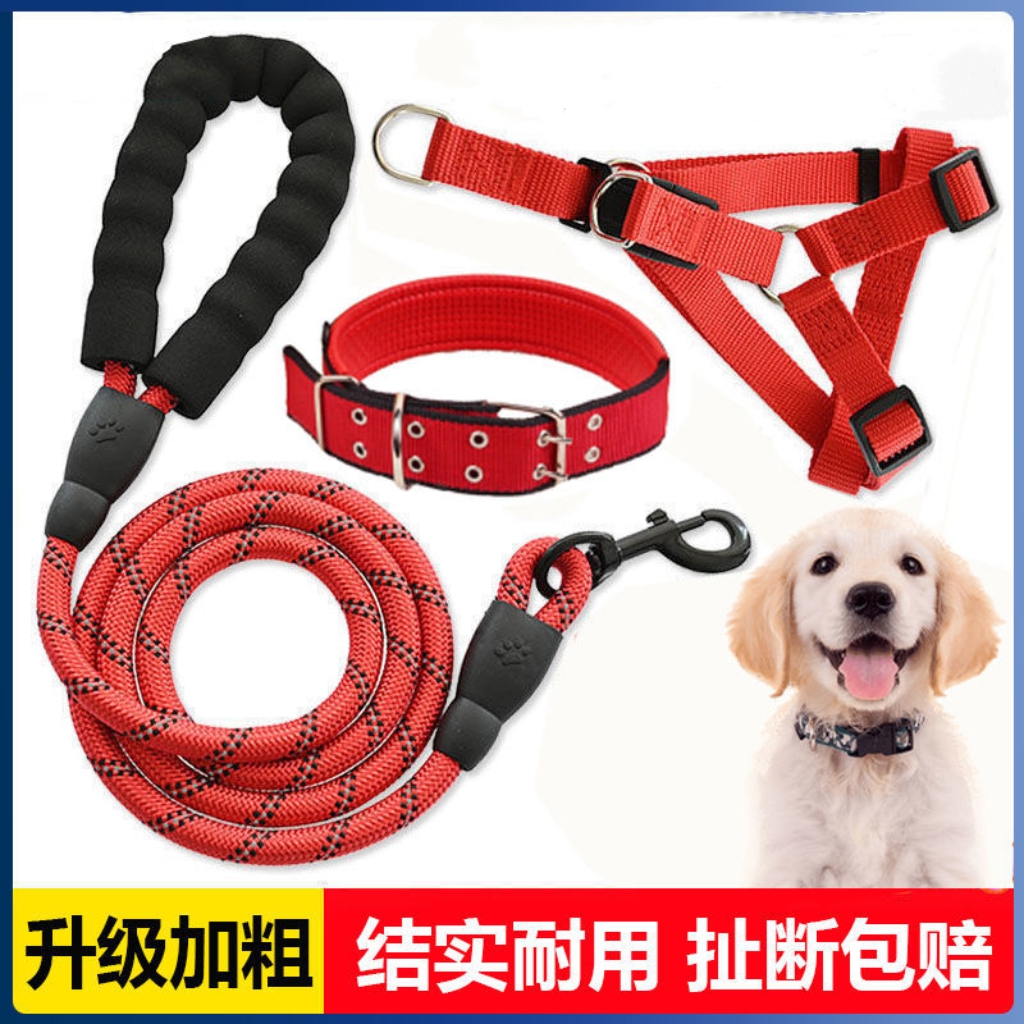 加长牵引绳狗绳项圈狗狗遛狗泰迪金毛宠物大型中型狗狗狗绳牵引绳