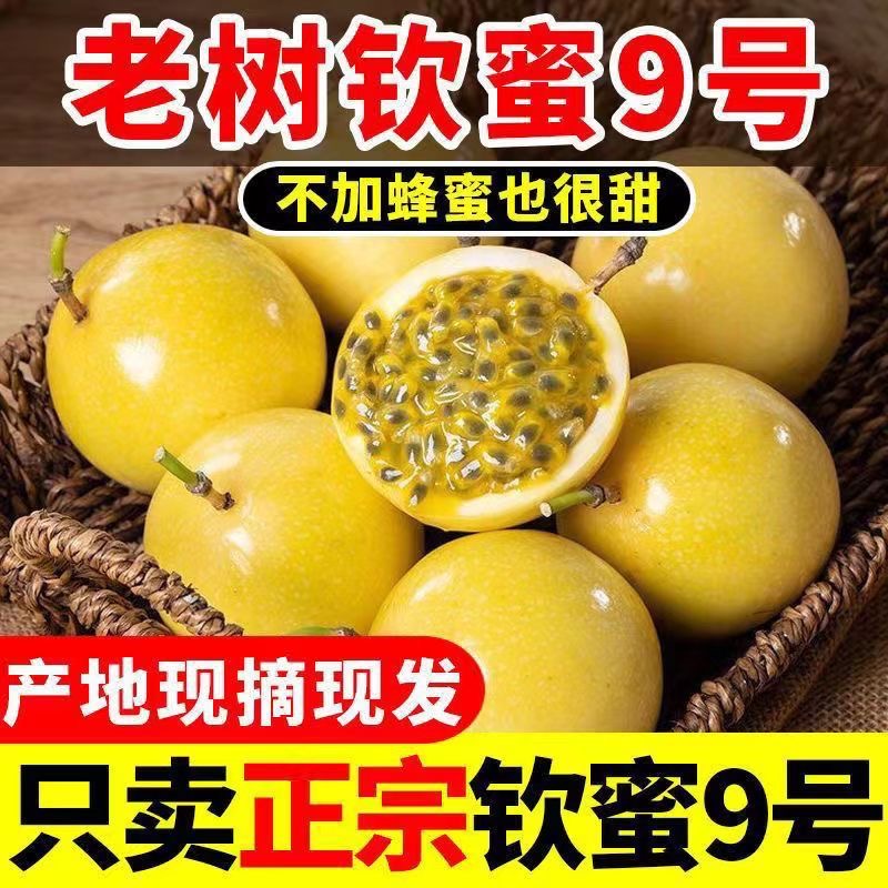 H1【百香果】广西正宗钦蜜9号黄金百香果孕妇果送开果器坏果包赔