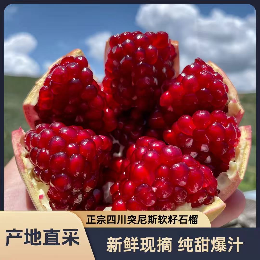 正宗会理突尼斯软籽石榴整箱5/9斤爆甜多汁应季水果-ZH