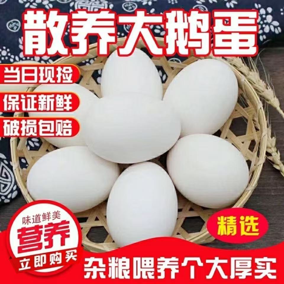 新鲜农家散养土鹅蛋纯天然营养丰富正宗特产小孩孕妇宝宝