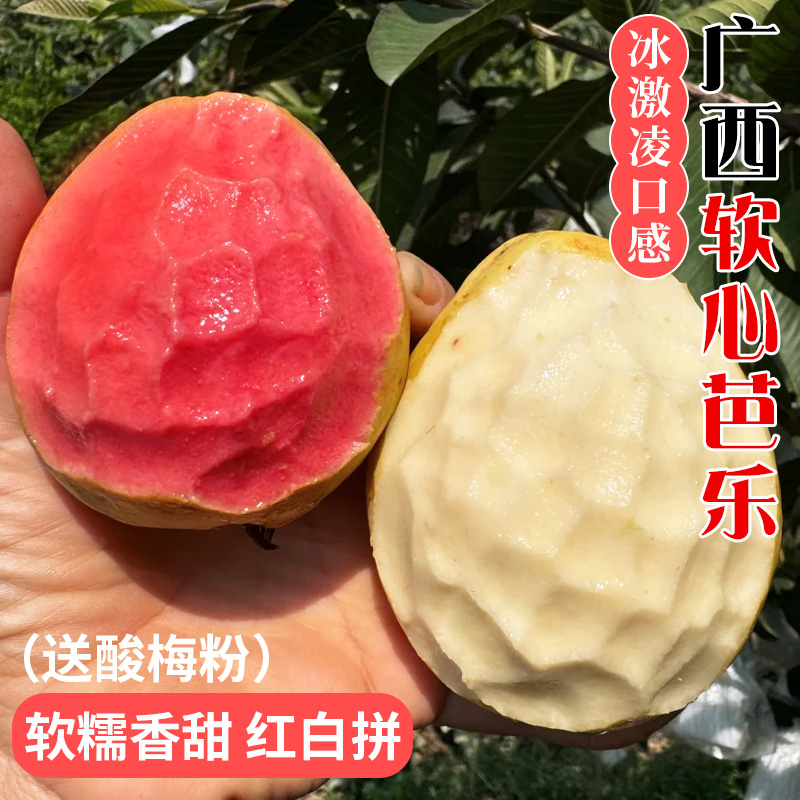 【芭乐冰淇淋口感】广西红心白心软糯香甜脆爽番石榴新鲜水果