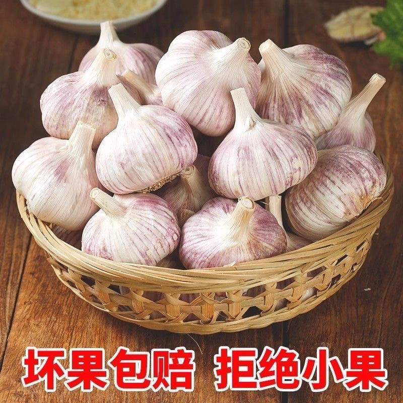 实惠3斤装】新鲜全干2025年十足干蒜农家大蒜2025