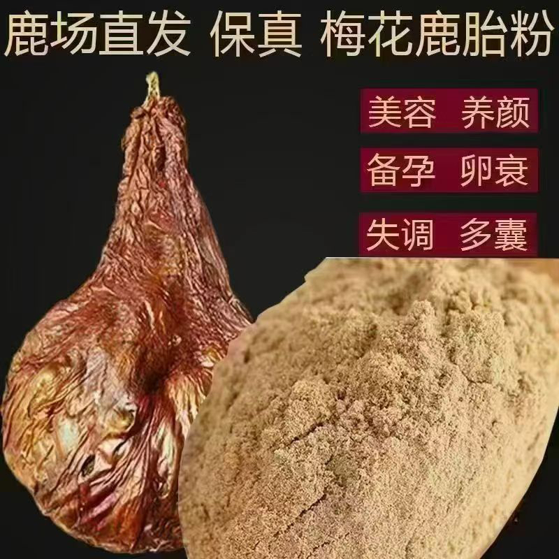梅花鹿 整支鹿胎 美容养颜