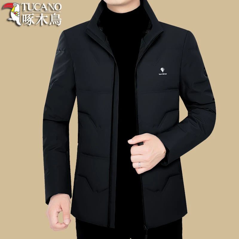 男装棉服外套冬季棉衣初冬薄款中青年立领时尚休闲棉服短款中老年