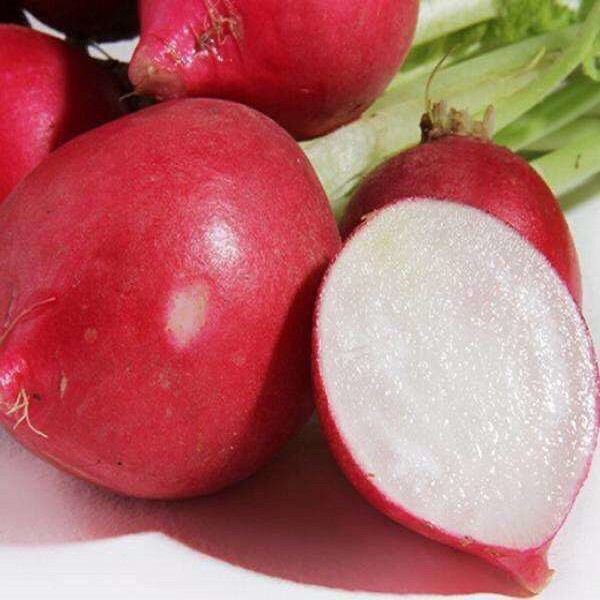 湖北农家新鲜露天老品种】红萝卜红皮白心