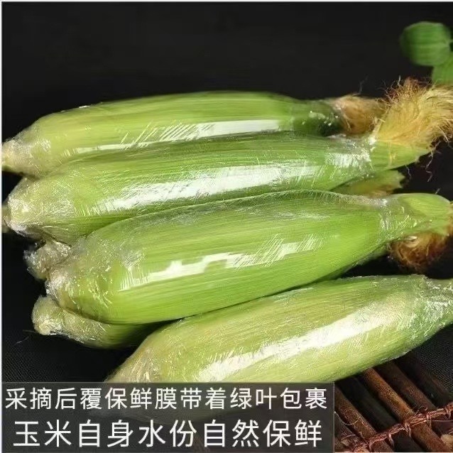 【白嫩糯玉米】四川攀枝花新鲜嫩包谷原产地直发到家保证新鲜采摘