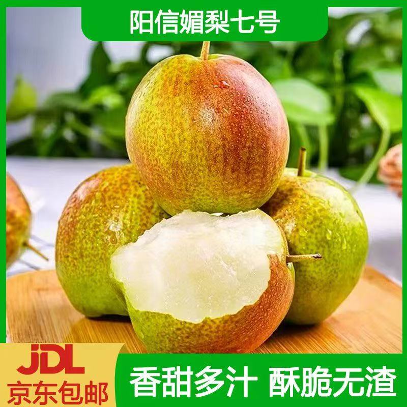 荣阳星安选【产地直发】正宗7号媚梨香甜皮薄口感脆甜多汁坏果包赔