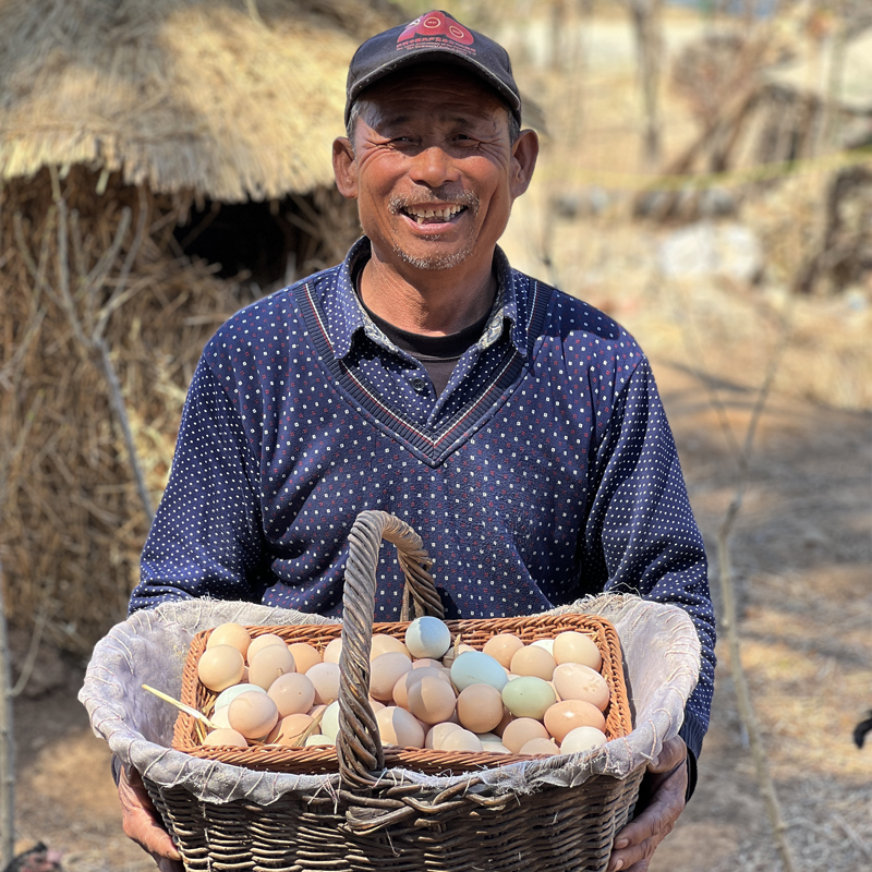 【50枚土鸡蛋】 农家散养土鸡蛋35g~45g新鲜营养鲜蛋现捡30枚