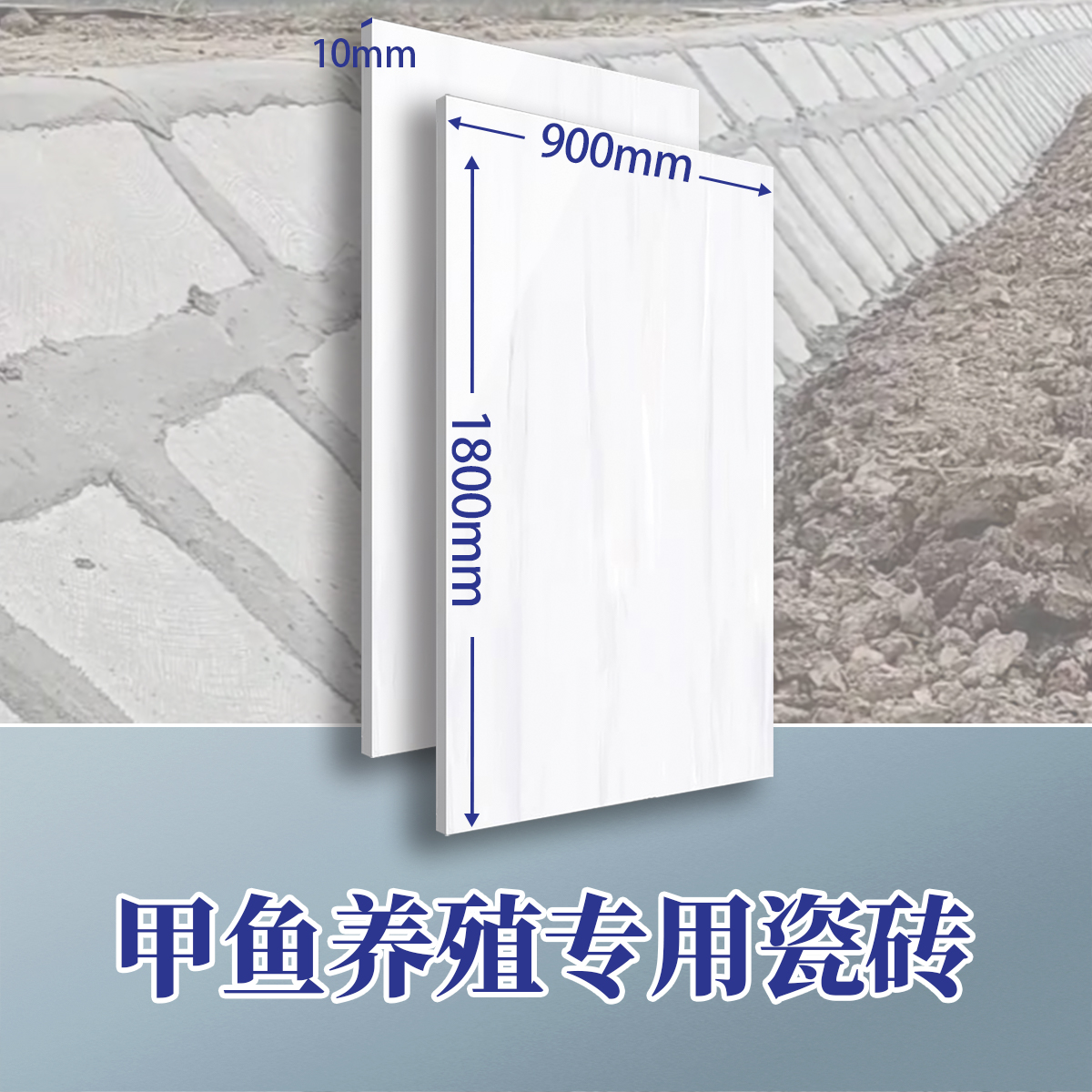 甲鱼池专用瓷砖竹鼠养殖瓷砖甲鱼牛蛙鸡鸭兔养殖专属优质瓷砖