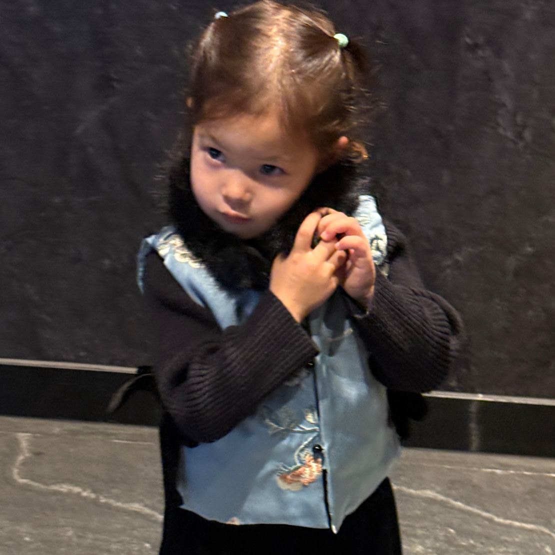 国泰多喜 | 女童国风蝴蝶结马甲背心拜年服新中式刺绣夹棉马甲