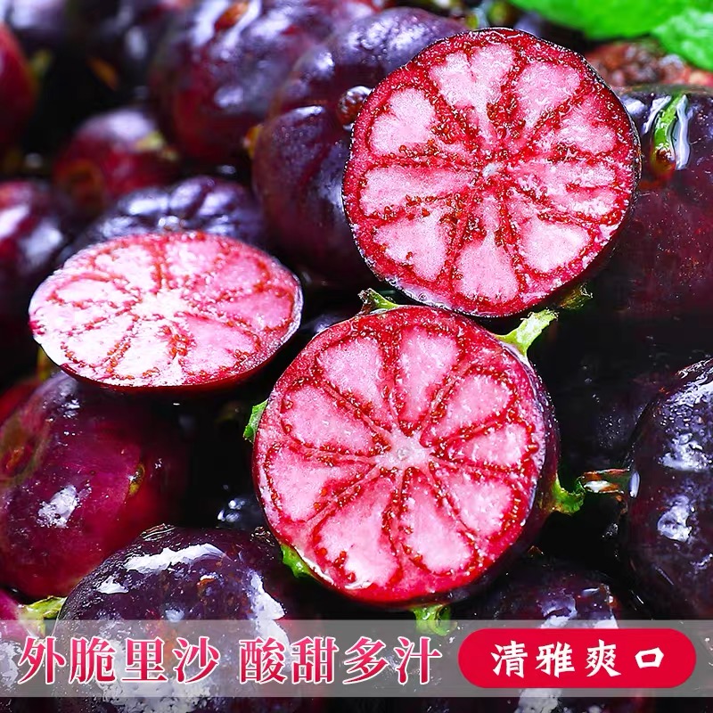 【精品一级果】云南红果参新鲜采摘当季稀有蜘蛛果罕见红果参