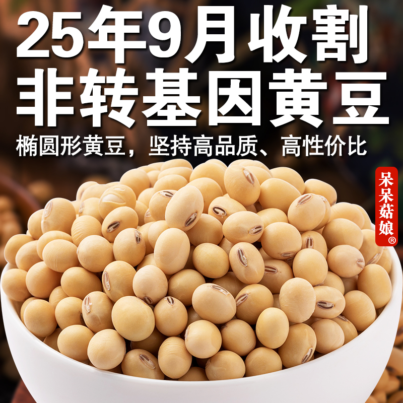 非转基因黄豆做豆腐煲汤打豆浆专用老品种大豆土黄豆椭圆形笨黄豆