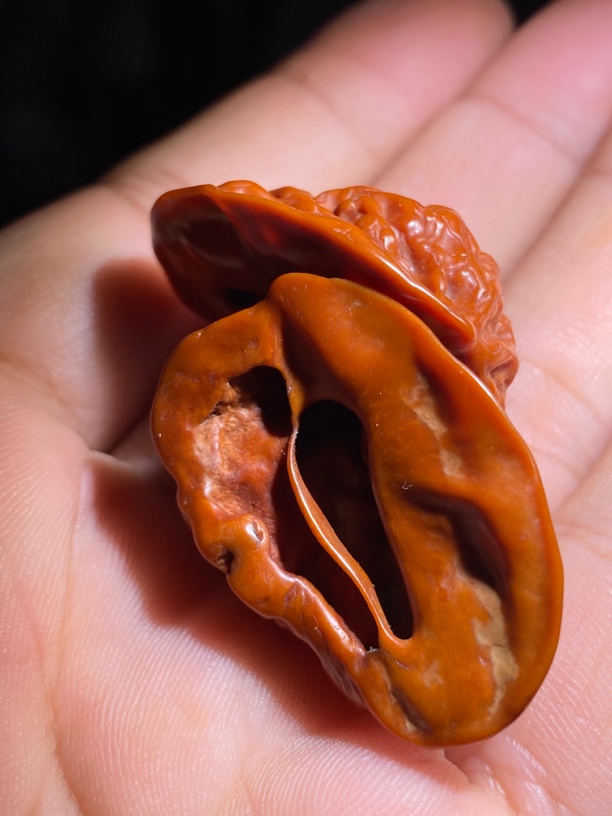 一物一图（177）：异形核桃一棱两半核桃 尺寸高34