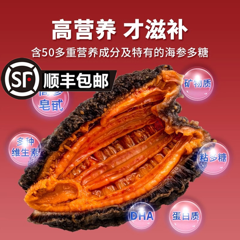 正宗即食红极参北极红参高营养开袋免泡发即食海参500克/袋4-6头