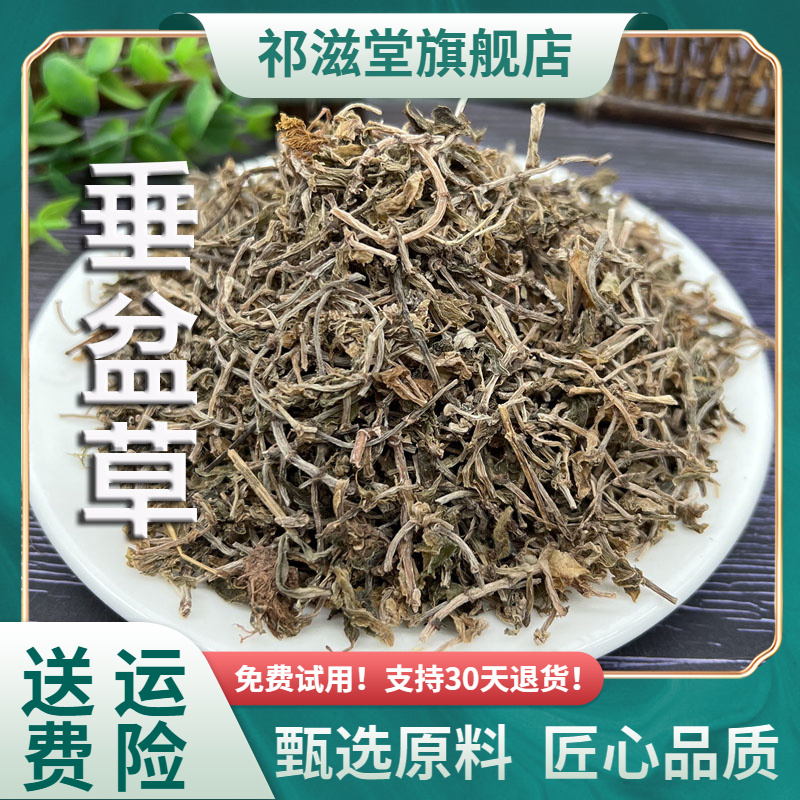 垂盆草中药材新鲜垂盆草干货正宗锤盆草泡水食用狗牙草非野生泡茶